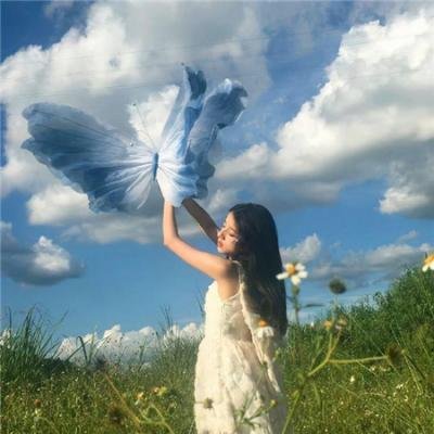 打黑风暴